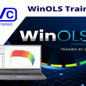 WINOLS course to learn rewrite the memory of the ECU (advanced basic level), 40 hours